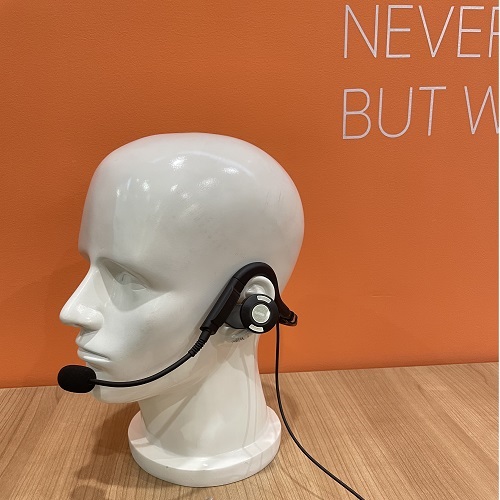 Lightweight Headphones with Mic for PC